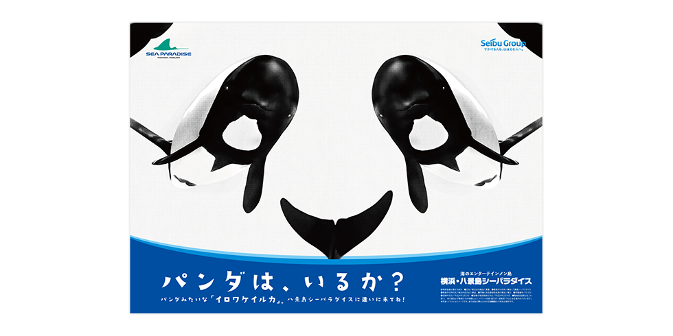 八景島に希少種「イロワケイルカ」がお披露目された際のTVCMとポスターを制作